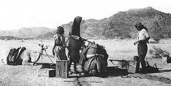 Stores and petrol being loaded onto camels